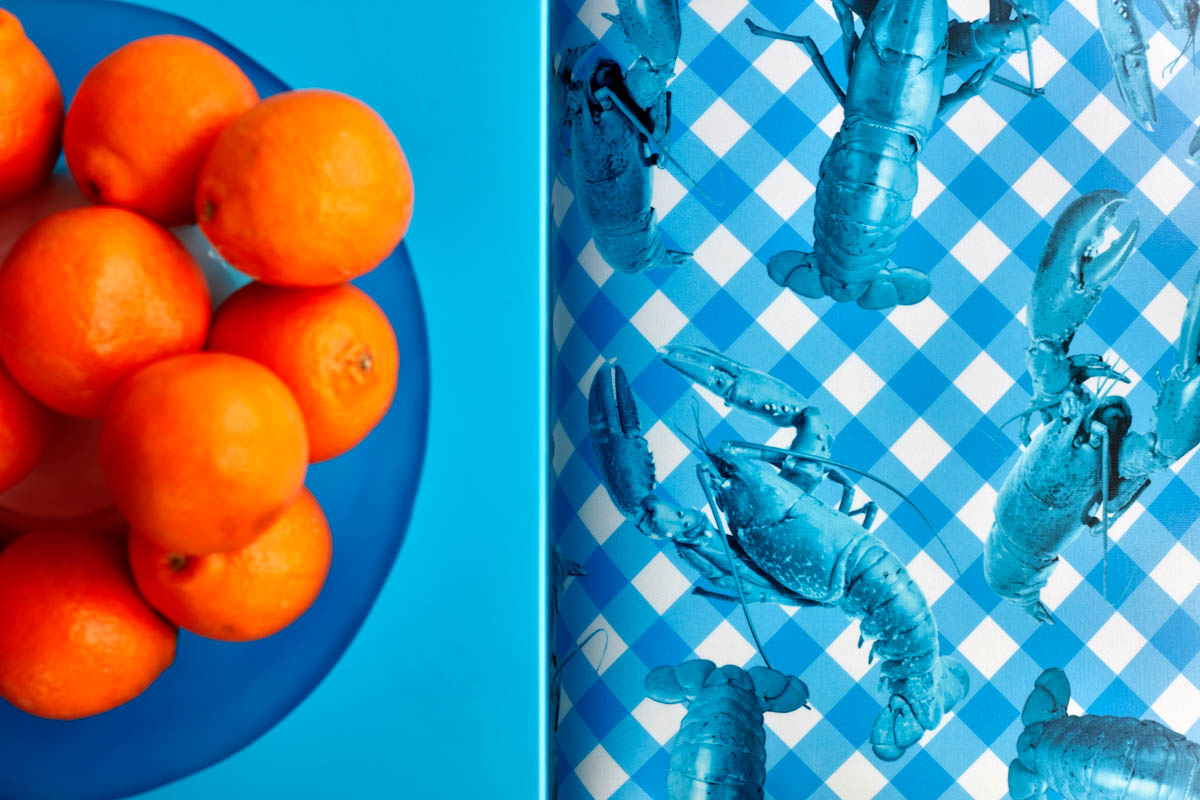 Tatile bize bekleriz